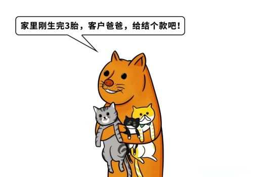 北京追债公司：担保人怎么起诉银行